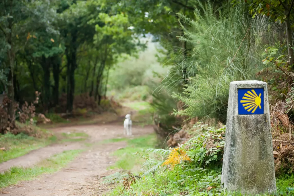 dogs on the camino