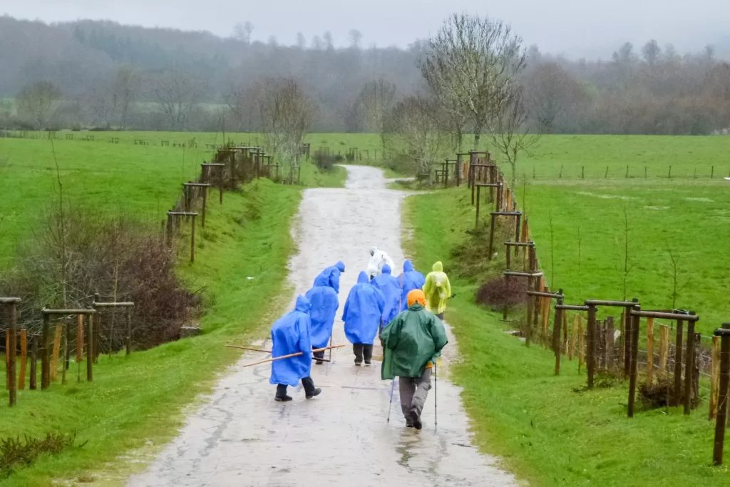 busy camino